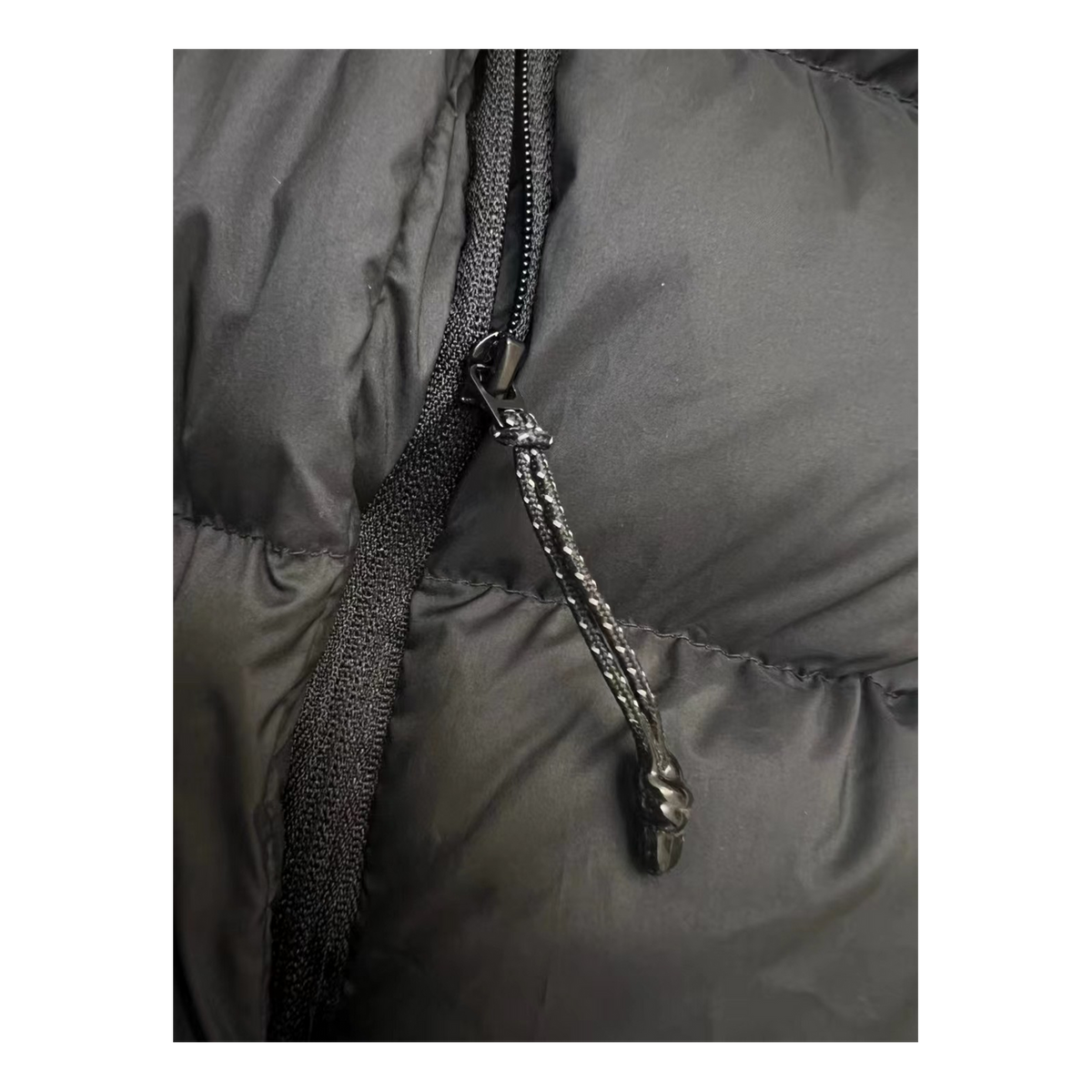 Moncler Vertical-Logo Snap-Front Down Jacket - Black