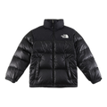 The North Face Two-Tone Stand-Collar Puffer Jacket